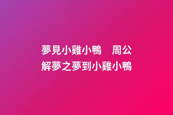 夢見小雞小鴨　周公解夢之夢到小雞小鴨